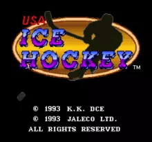 Image n° 1 - screenshots  : USA Ice Hockey